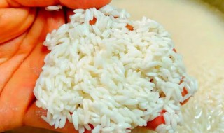 糯米洗了过夜发黄还能吃吗 糯米洗了过夜发黄还可以吃吗