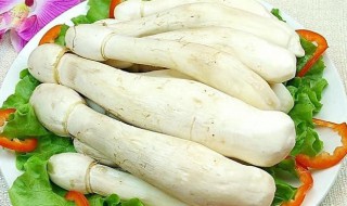 梦见挖鸡腿菇是什么意思 梦见挖鸡腿菇有哪些预兆呢