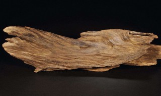 如何辨别沉香的好坏 怎样辨别沉香的好坏呢