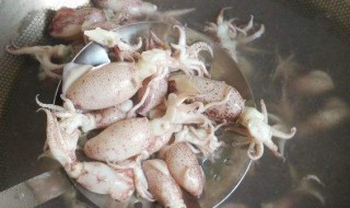 吃海兔的禁忌 海兔有哪些食用禁忌