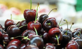 车厘子能放在冰箱冷藏吗 车厘子可以放在冰箱冷藏吗