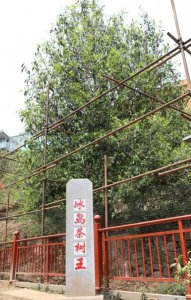 冰岛属于中国哪个省 位于云南省临沧市双江县勐库镇