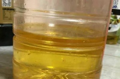 过期未开封食用油怎么处理不浪费 过期食用油变废为宝妙招