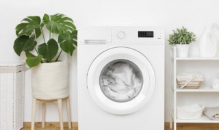 四季垫能用洗衣机洗吗 四季垫可不可以放洗衣机洗