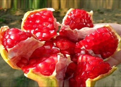 蒙自石榴几月份成熟 云南蒙自石榴成熟季节及上市时间