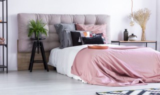 房间放什么花对人体好 房间放哪种花对人体好