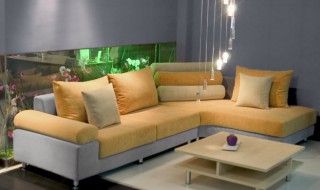 家里摆放什么物件能存住钱 家里摆放哪些东西能存住钱