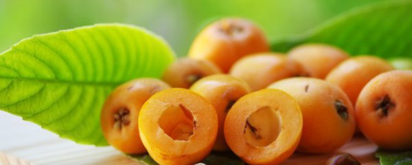 新鲜枇杷肉怎么保存好