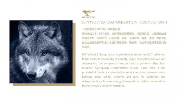 职业装品牌排行榜前十名