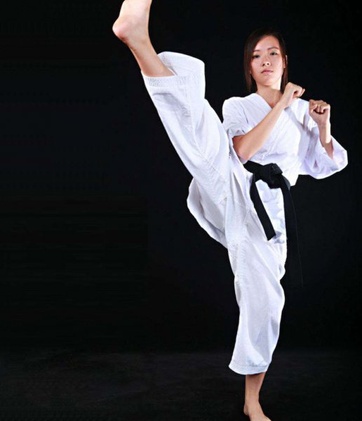 空手道段位颜色级别