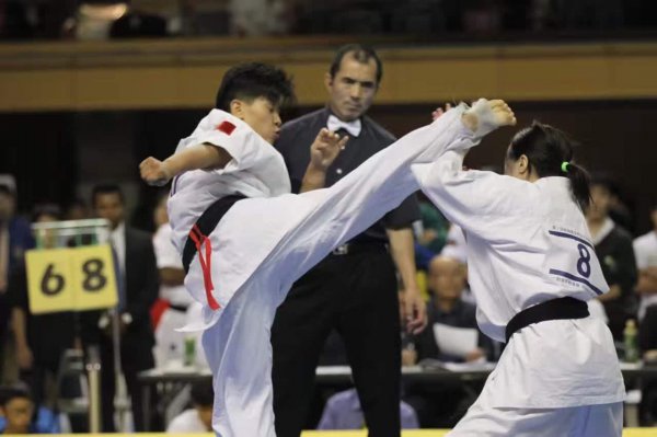 空手道段位颜色级别