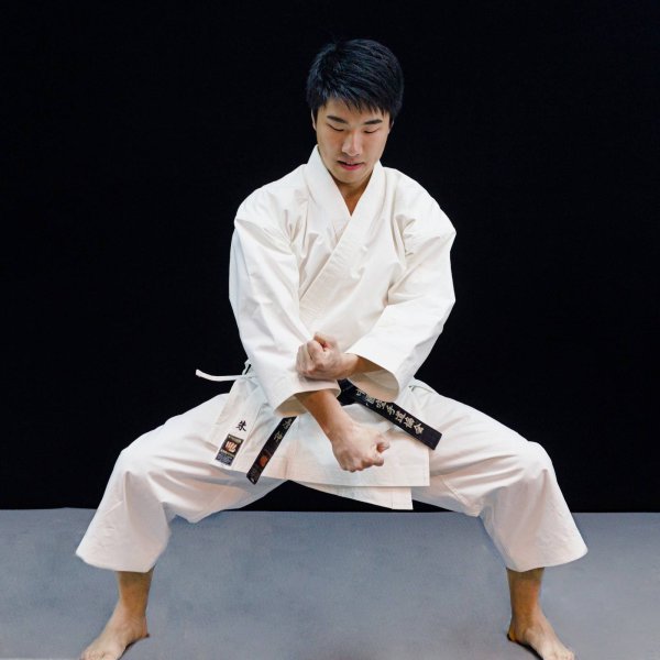 空手道段位颜色级别