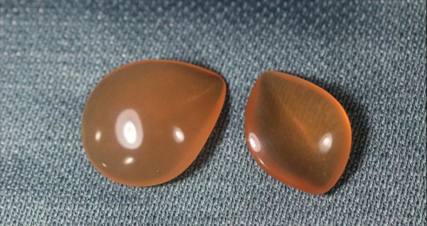 青鱼最大可以长到多少斤