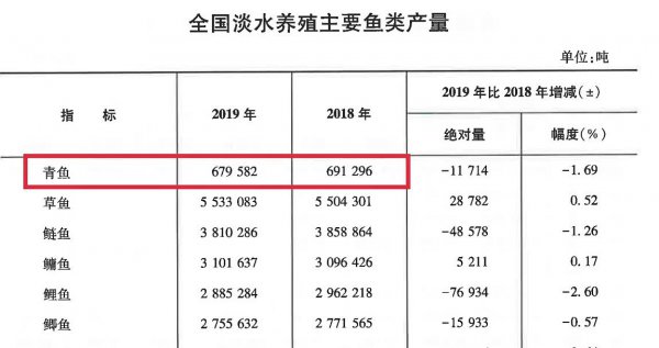 青鱼最大可以长到多少斤