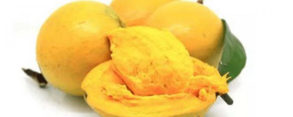 蛋黄果是凉性还是热性水果