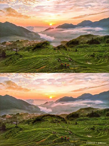 丽水最好的酒店排名