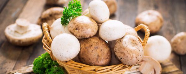 圆菇里面黑的可以吃吗