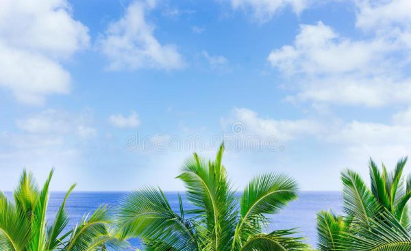 全世界人口最少的几个国家