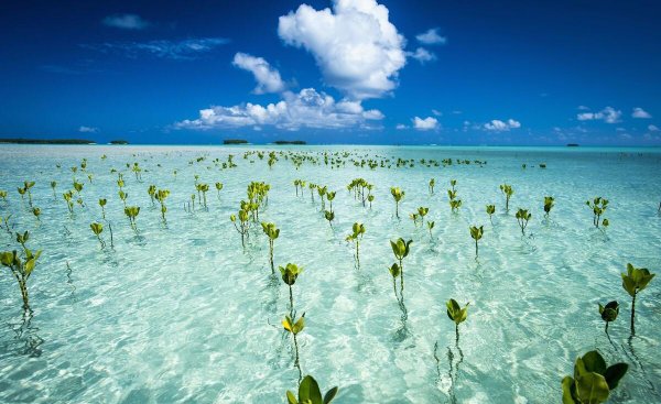 全世界人口最少的几个国家
