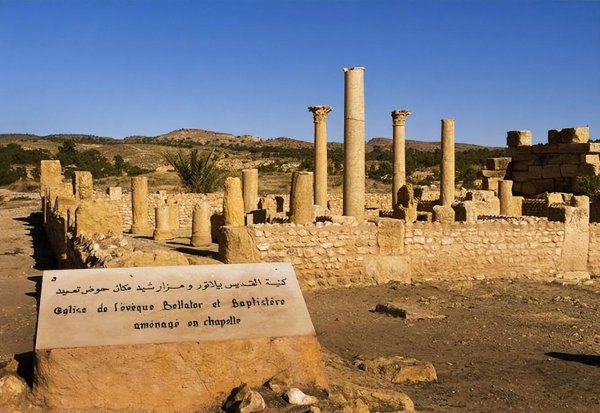 突尼斯是哪个洲的国家