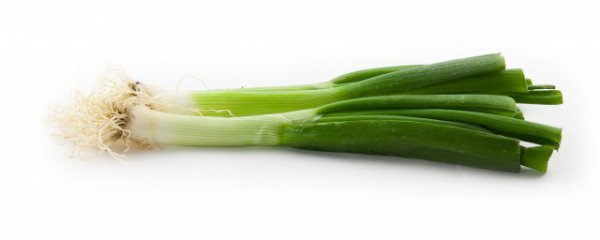 大葱怎么存放时间最长