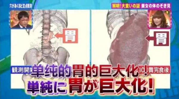 催吐是什么意思