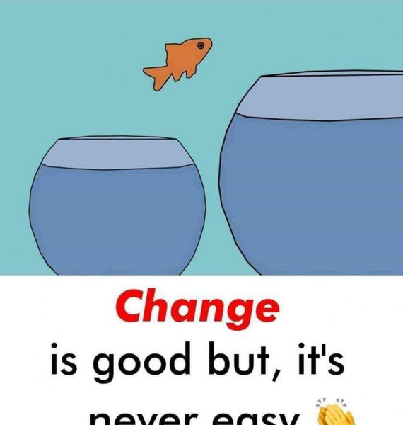 学好英语的十个方法