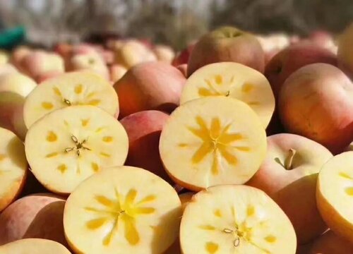 新疆阿克苏冰糖心苹果好吃吗