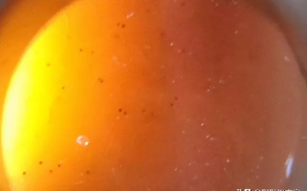 鉴别天珠最简单方法