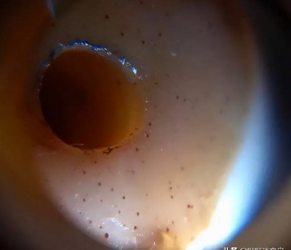 鉴别天珠最简单方法