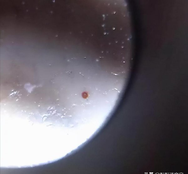 鉴别天珠最简单方法