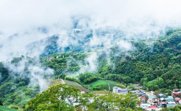 乌龙茶有哪些品种值得品尝