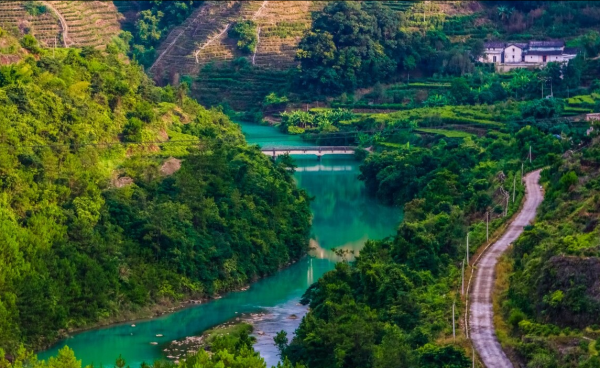 乌龙茶有哪些品种值得品尝