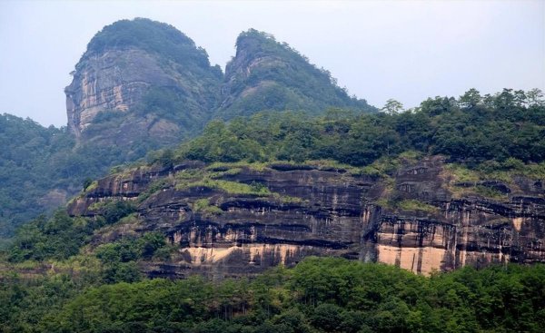 乌龙茶有哪些品种值得品尝