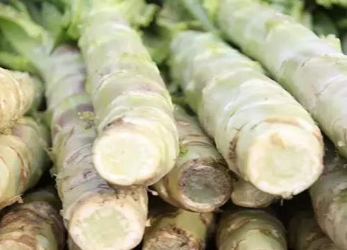 莴苣是寒性还是热性食物