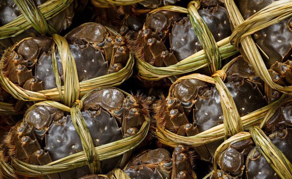 鲜活螃蟹怎样保存才能活的更久