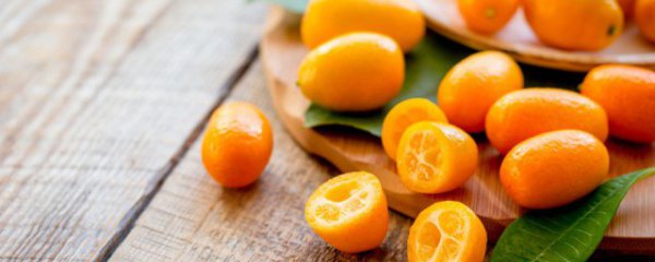 金桔和虾能一起吃吗