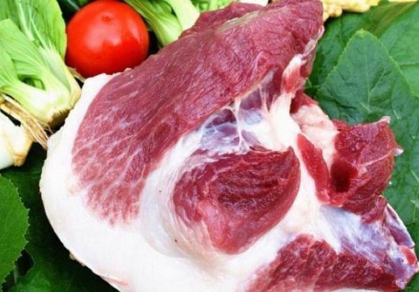 包饺子用猪肉的什么地方好