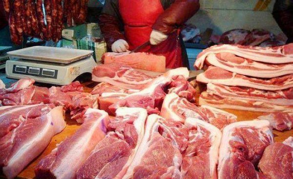 包饺子用猪肉的什么地方好