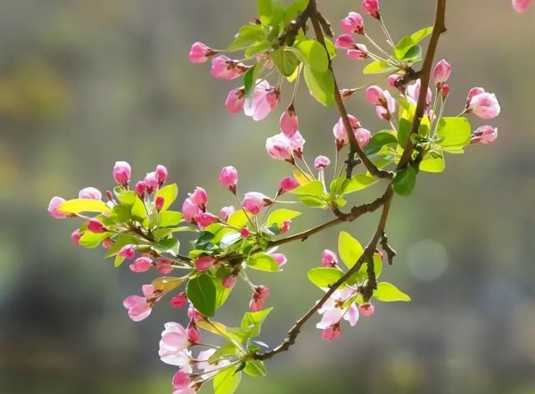 三月初三是什么日子有什么讲究