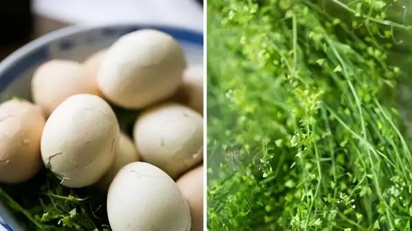 三月初三是什么日子有什么讲究