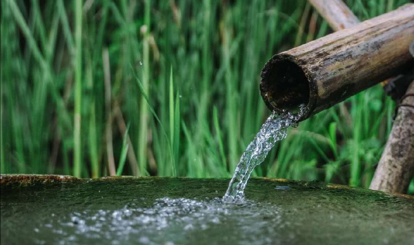 三月初三是什么日子有什么讲究