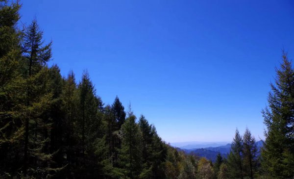 石家庄景点排行榜前十名