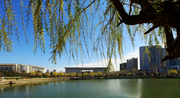 山东大学是985还是211