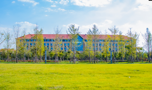 山东大学是985还是211