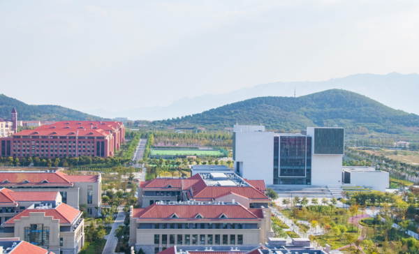 山东大学是985还是211