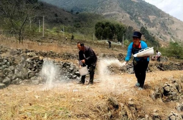 长期用什么驱蛇最好