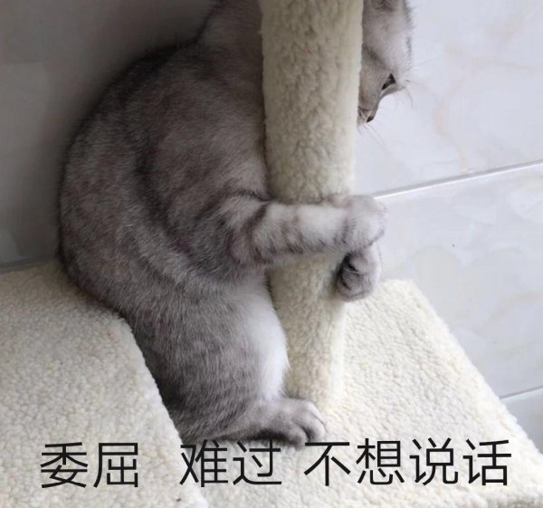 猫半夜嗷嗷叫怎么回事