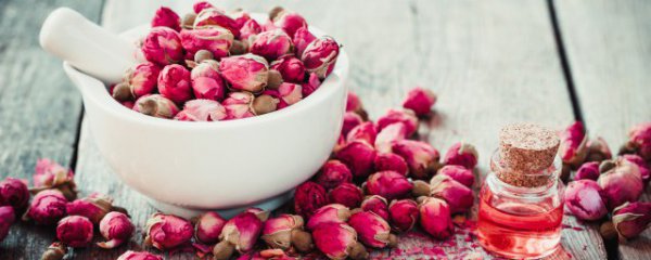 玫瑰枸杞茶什么季节喝好