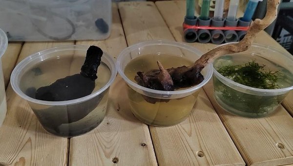 鱼缸水发黄但是水很清怎么办